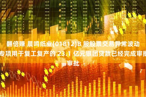 翻倍赚 晨鸣纸业(01812)B 股股票交易异常波动 专项用于复工复产的 23.1 亿元银团贷款已经完成审批