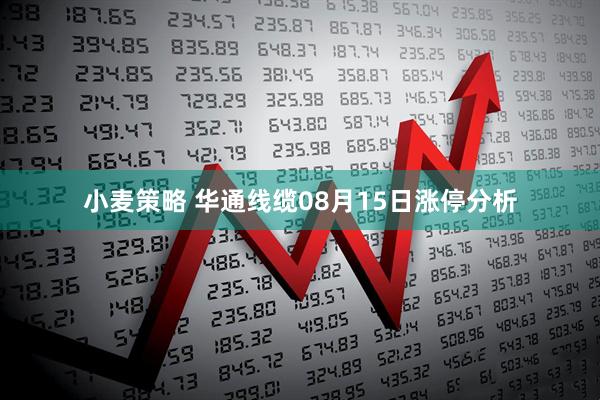 小麦策略 华通线缆08月15日涨停分析