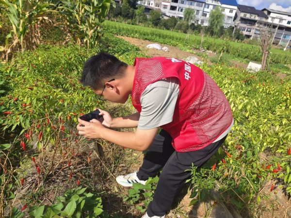 优配网 人保财险遵义分公司全力护航辣椒产业发展