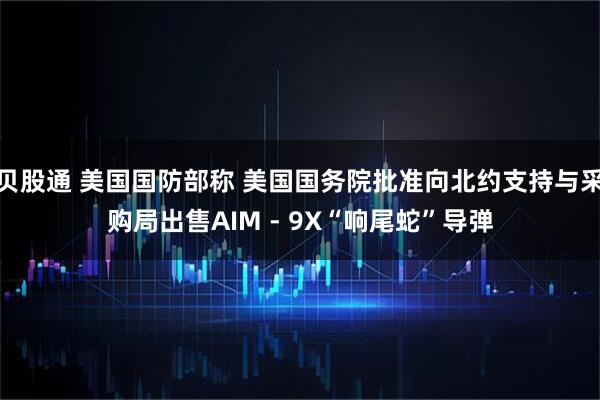贝股通 美国国防部称 美国国务院批准向北约支持与采购局出售AIM - 9X“响尾蛇”导弹