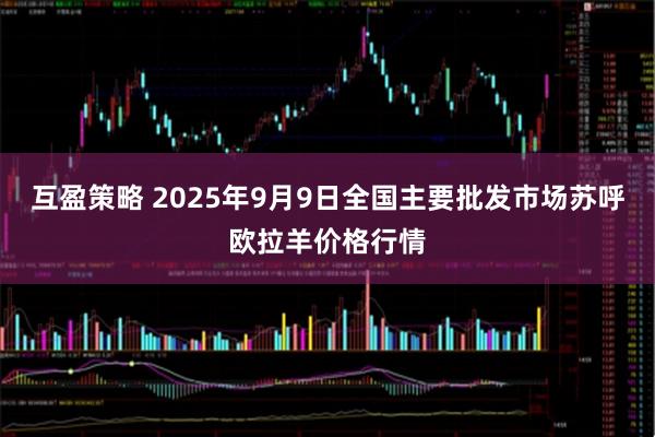 互盈策略 2025年9月9日全国主要批发市场苏呼欧拉羊价格行情