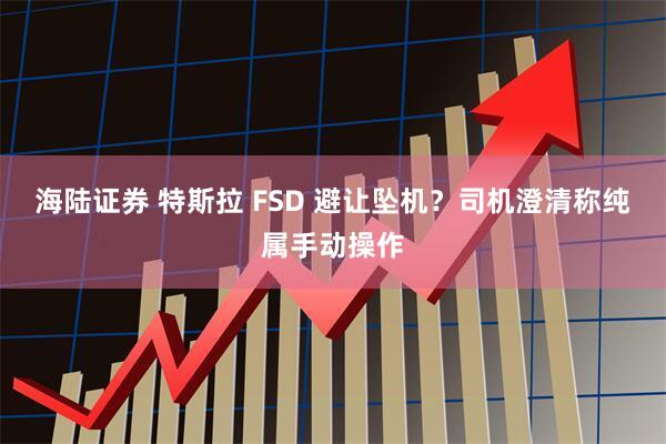 海陆证券 特斯拉 FSD 避让坠机？司机澄清称纯属手动操作